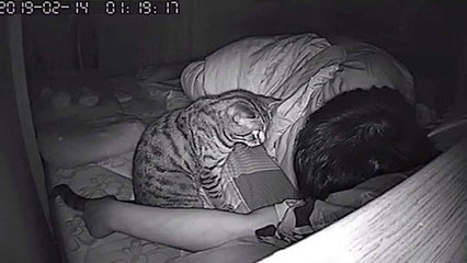 Il cache une caméra dans sa chambre pour filmer son chat la nuit