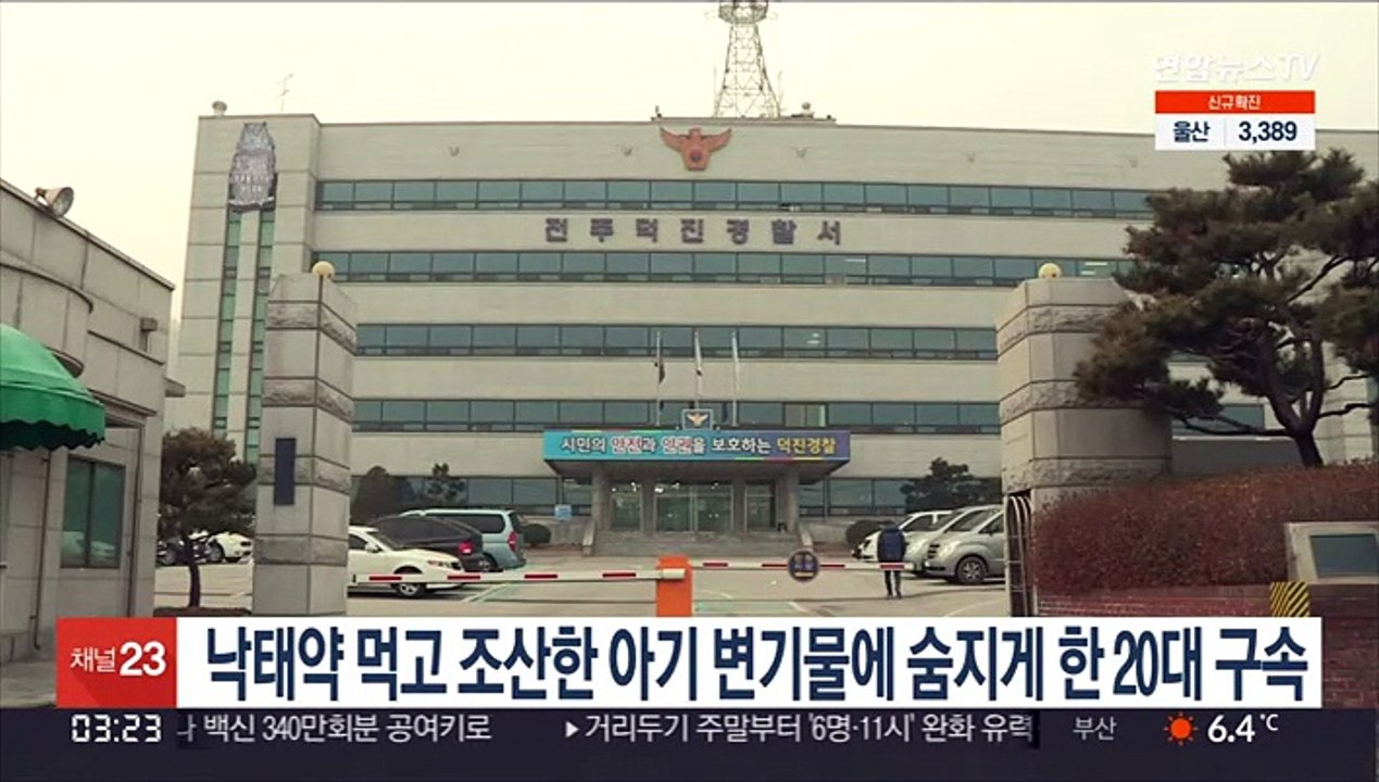 낙태약 먹고 조산한 아기 변기물에 숨지게 한 20대 구속