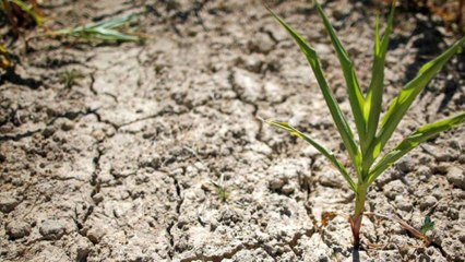 L'Angleterre pourrait manquer d'eau d'ici 25 ans (et ce n'est pas la seule)