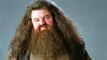 Harry Potter : Robbie Coltrane (Hagrid) en fauteuil roulant se bat contre la maladie
