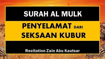 Surat Al Mulk Penyejuk Hati