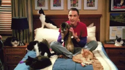 Ces 5 signes du zodiaque sont accros aux chats