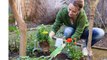 Jardin : comment bien planter ses végétaux ? (Vidéo)