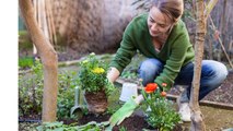 Jardin : comment bien planter ses végétaux ? (Vidéo)