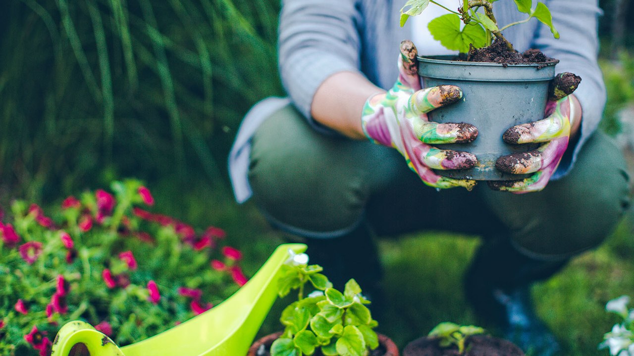 Jardin : comment l'entretenir facilement et rapidement ?