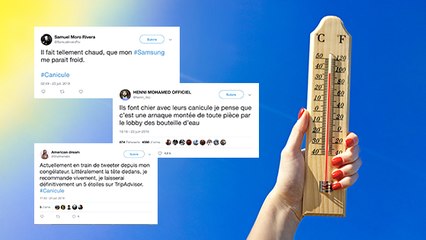 Canicule : ces tweets hilarants vont vous rafraîchir le moral (et le corps) !