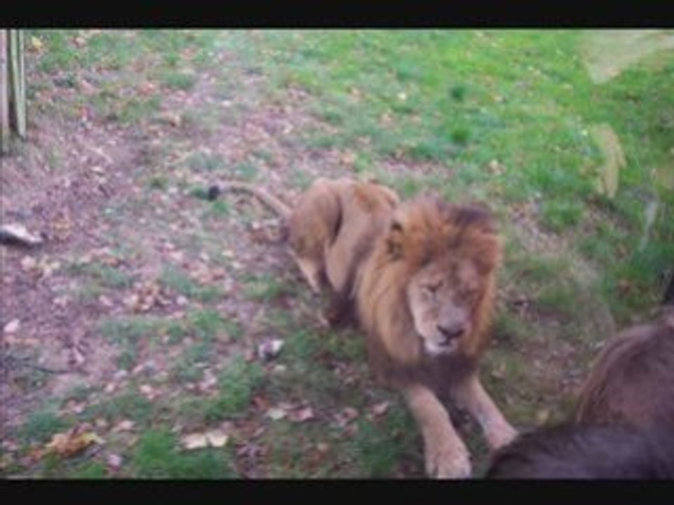 diaporama trips parcs 2006 2007