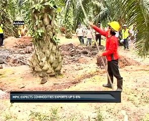 MPIC expects commodities exports up 5-8%