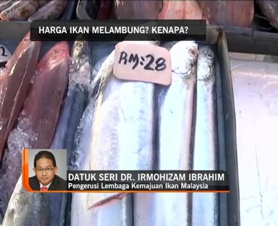 Harga ikan melambung? Kenapa?