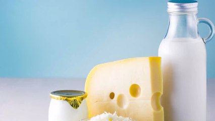 Combien de temps peut-on vraiment conserver et consommer les produits laitiers ?