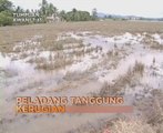 AWANI 7:45 malam ini: Peladang tanggung kerugian dan 300 tan minyak tumpah