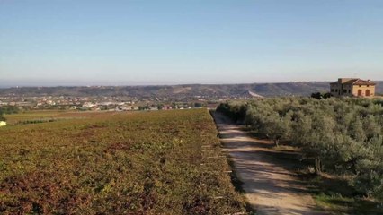 L’eau d’un village du nord de l'Italie se transforme en vin