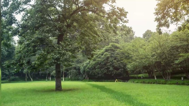 Jardin : comment le préparer à l'arrivée de l'été ?