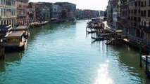 Les dauphins sont de retour en Italie grâce à la baisse du tourisme