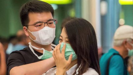 Le Coronavirus viendrait-il de la traditionnelle soupe à la chauve-souris ?