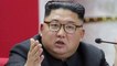 Qui pourrait diriger la Corée du Nord si Kim Jong-un mourrait ?