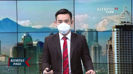 Terjadi Lagi, Aksi Kejahatan KKB Membunuh 8 Pekerja Palapa Ring Timur di Kabupaten Puncak