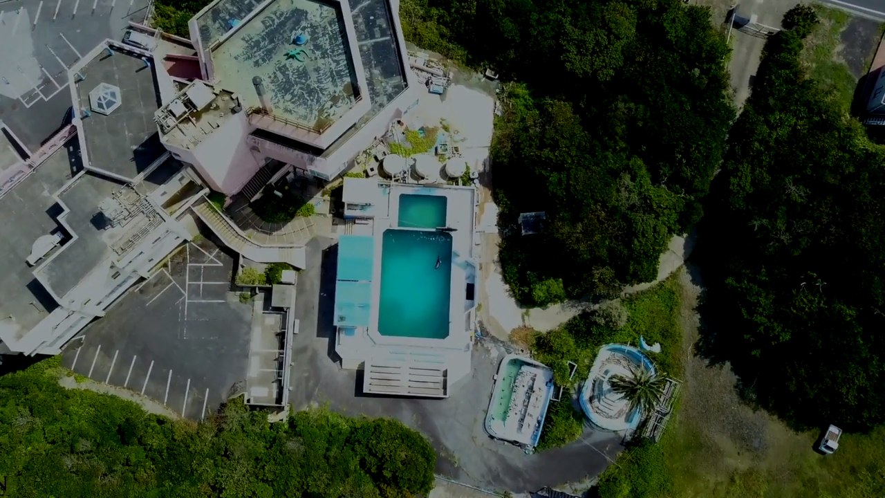 Honey : le dauphin abandonné depuis 2 ans en captivité est mort