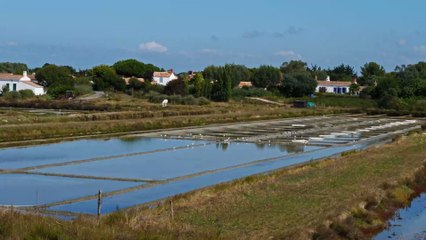 Plages: elles ferment de nouveau à cause du non respect des consignes