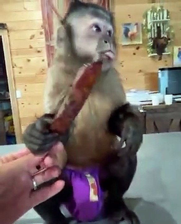 Dinner
