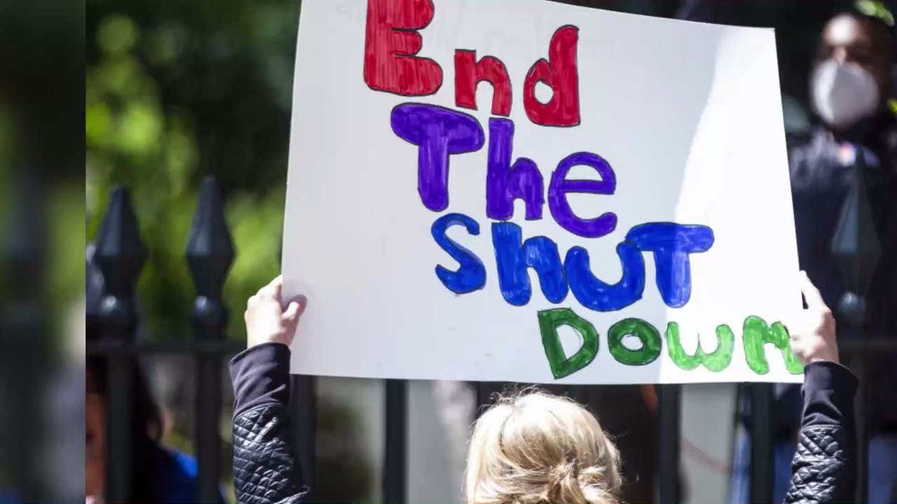 Les manifestations anti-confinement choquent les internautes