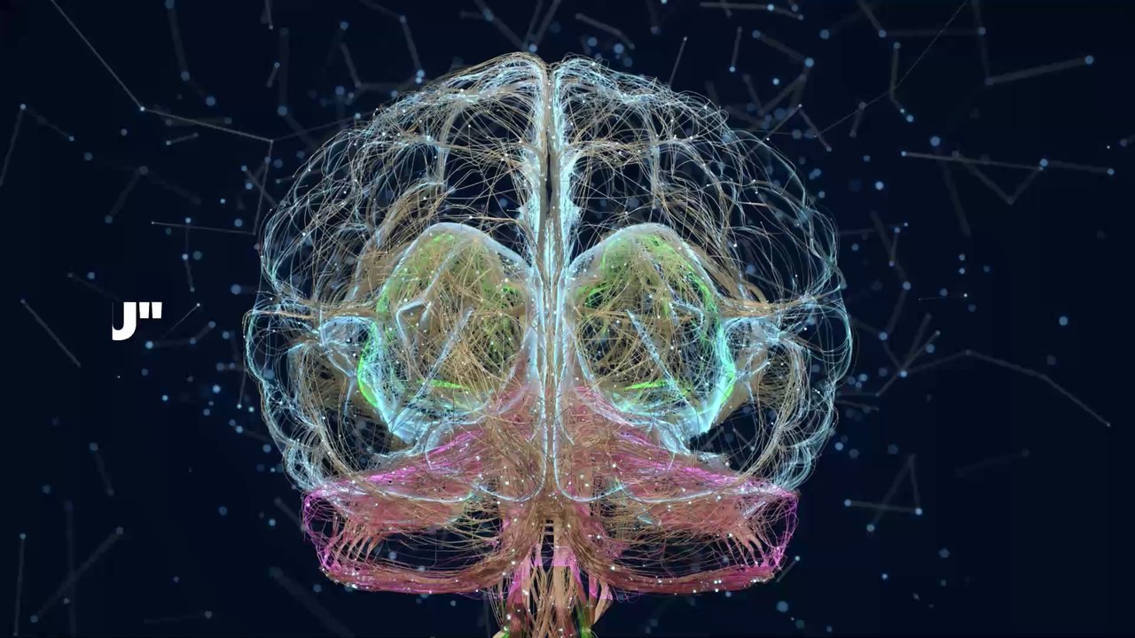 Un cas d'amide "mangeuse de cerveau" découvert aux États-Unis