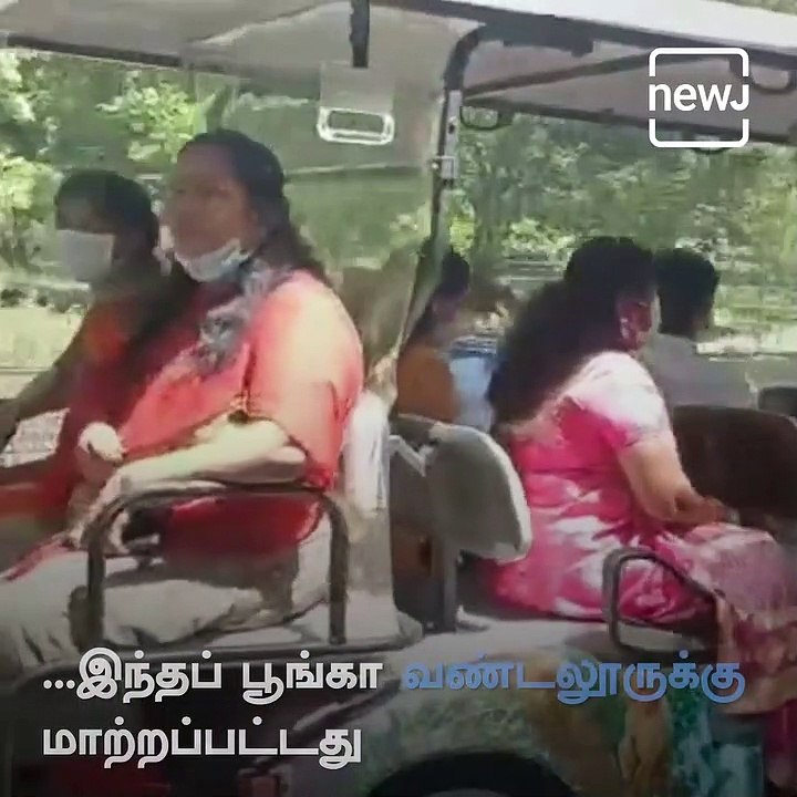 1,500 Different Species Of Animals - Country's First Zoo Vandalur Zoo's History