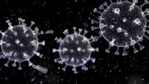 Coronavirus : une deuxième vague confirmée, comment l'éviter ?
