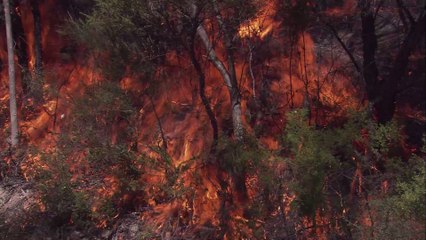 « Ce petit geste qui fait de vous un gros con » : le message fort des pompiers de l'hérault