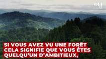 Ce que vous voyez en premier en dit long sur votre personnalité !
