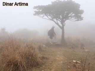 Tai mo shan