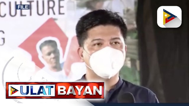 Mayor Belmonte, nagsampa ng kasong cyber libel vs. Rep. Defensor