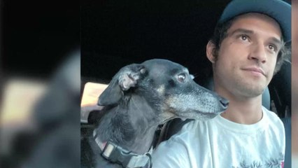 Homosexualité, drogues, alcool, Tyler Posey (Teen Wolf) fait des révélations sur sa vie