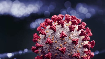 Covid-19 : ces communes françaises les plus touchées par le virus