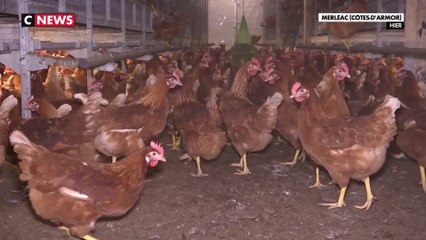 La guerre déstabilise les marchés