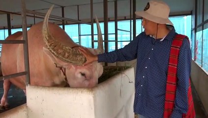 ปราจีนบุรี