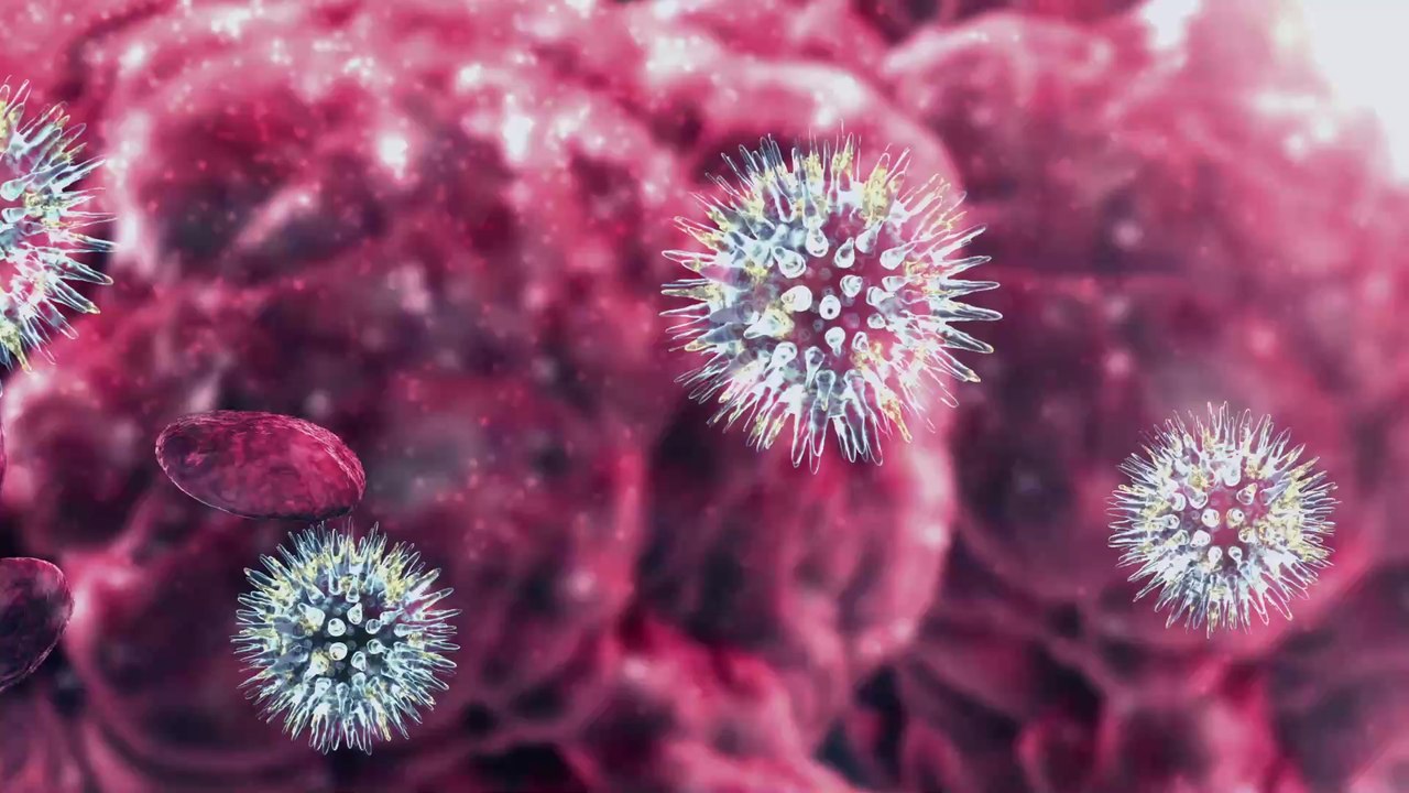 Nouvelle pandémie : On sait déjà où elle pourrait éclater