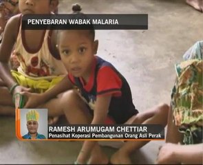 Penularan wabak malaria