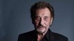 Johnny Hallyday : sa statue hommage suscite les moqueries des internautes