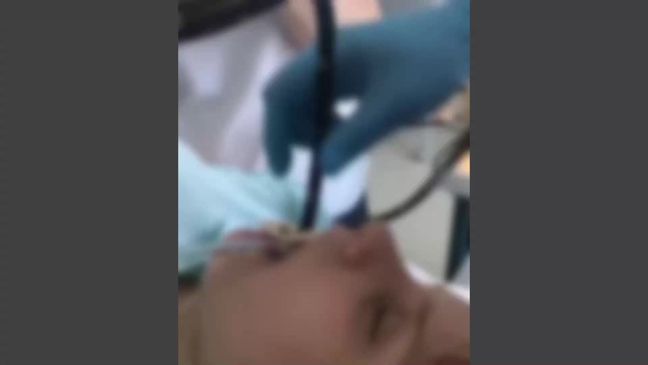 Autriche : un homme se fait mordre les organes génitaux par un animal terrifiant aux toilettes