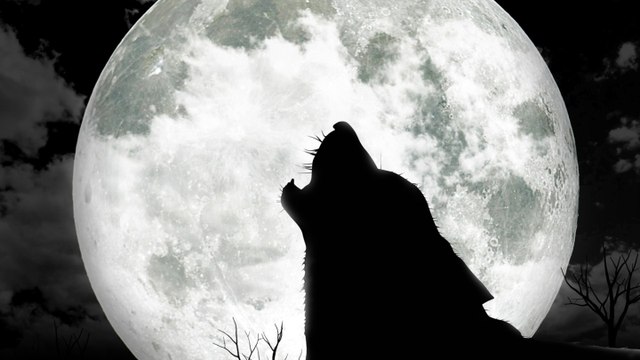 Pleine lune : les hommes seraient plus sensibles aux cycles lunaires que les femmes, selon une étude