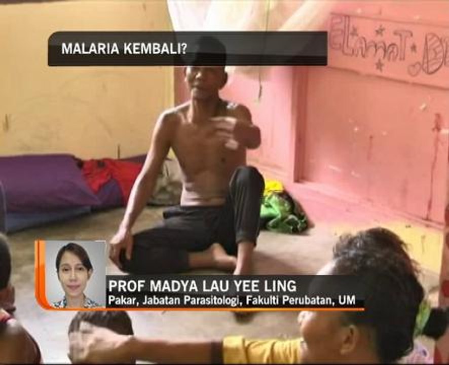 Malaria kembali?