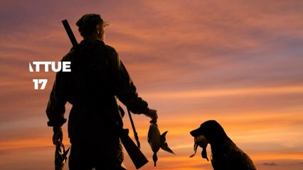 Accident de chasse : une randonneuse tuée par une chasseuse de 17 ans dans le Cantal