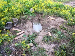 Mezarlığa gömülmüş cenin bulundu