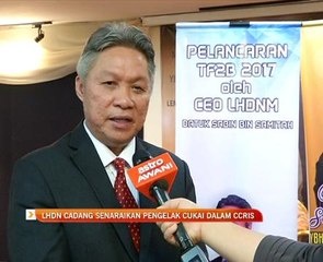 LHDN cadang senaraikan pengelak cukai dalam CCRIS