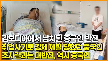 캄보디아에서 납치된 중국인 반전, 취업사기로 강제 체혈 당했던 중국인 조사결과는 대반전, 역시 중국인