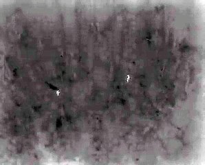 The moment two lost females were found in Sutton Park