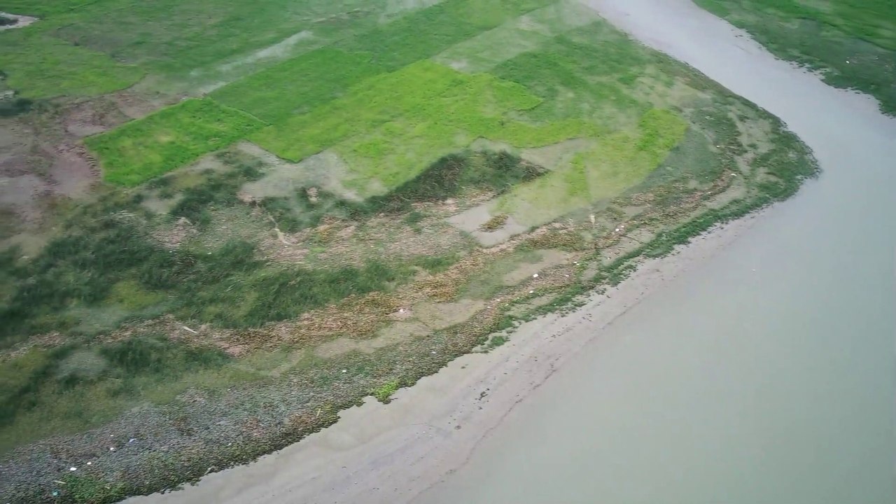 Natural beauty of bangladesh||Tribute to joy bangla slogan after declaration&from now on joy bangla will be considered as national slogan of bangladesh 2022||chadpur mohona||