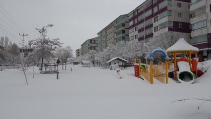 Bitlis'te 207 köy yolu ulaşıma kapandı