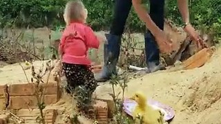Sweet friendship between Baby Monkey & Baby Duck ❤️